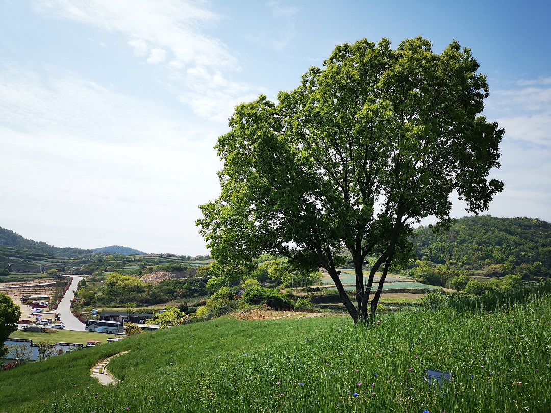 1618298356212378.jpg 微信圖片_20210412114829.jpg